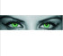 Mój avatar