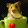 Mój avatar